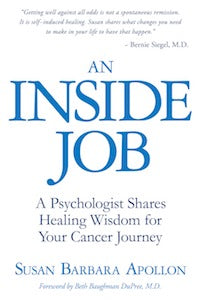 An Inside Job Book Susan Barbara Apollon